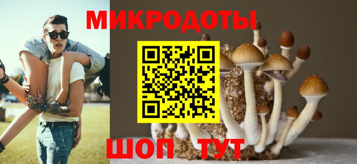 Черкесск  Галлюциногенные грибы GOLDEN TEACHER  Вход с VPN 