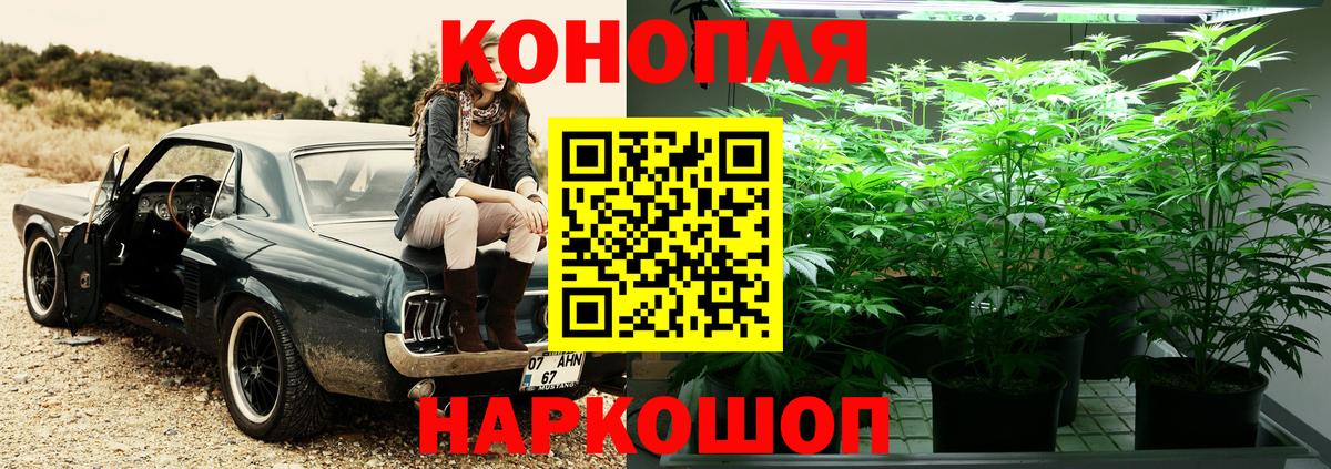 Канабис AK-47  Каннабис AK-47  Вход с VPN  Черкесск  Бошки Шишки планчик  Шишки марихуана THC 21% 